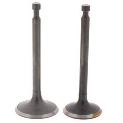 Honda-GX-Valve-MTM-Hydro-42.0271